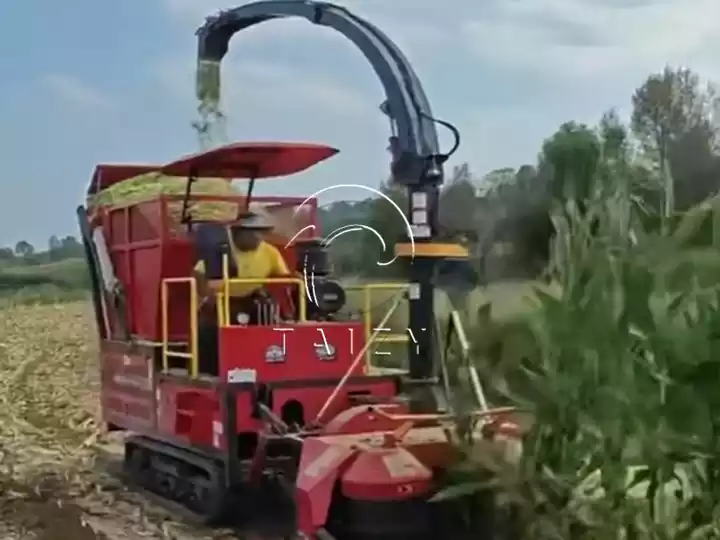 forage harvester in action