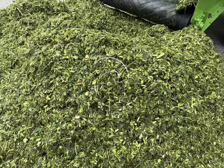 display of the final silage product