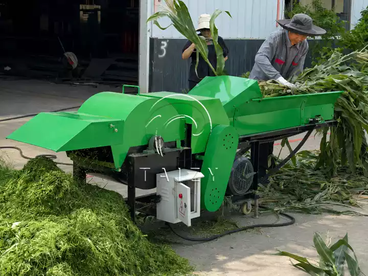 corn stalk silage processing with shredder